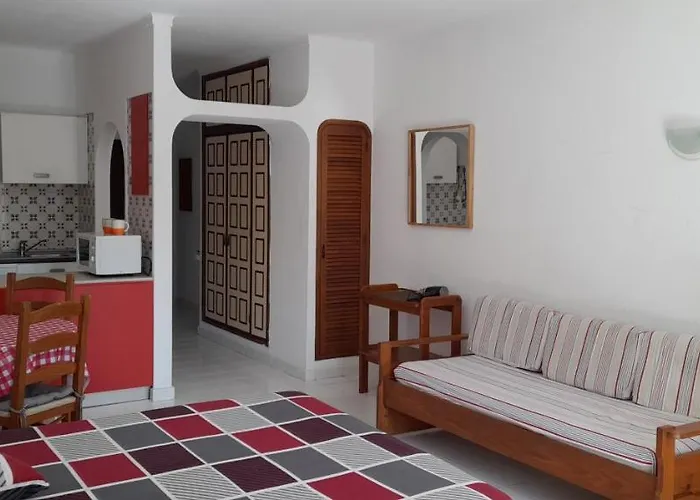 Casa Irina Centro 公寓 *